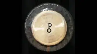 Oetken Pholus Gong 28