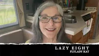 LAZY EIGHT - FLYLADY KAT - DECLUTTER AND HAVE A CLEAN CLUTTER FREE HOME WITH THE FLYLADY SYSTEM!