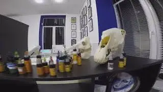 Tattoo artist Vlad Zrub & Jam Tattoo studio (short gopro movies)