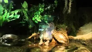Freshwater Aquarium, SeaWorld San Diego