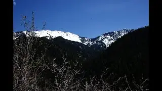 Finding Millcreek wildflowers in May