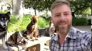 San Diego Dog training Classes and Private Training