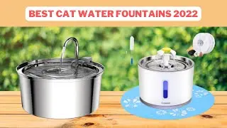 Cat Water Fountains | Best Cat Water Fountains Reviews 2022
