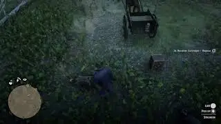 RDR2 Floating Safe