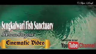 Songkalwari Fish Sanctuary | Rombagre | Cinematic Video.
