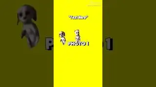barbie dancing dogs meme compilation