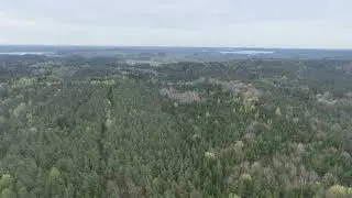 23.4.24 Drone flight over a forest between Stary Folwark and Sulwaki in Poland