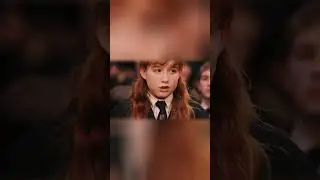 DID YOU KNOW Warwick Davis played FOUR roles in Harry Potter?