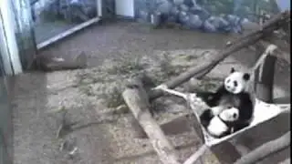 122908 Lun and Xi-Lan in hammock together