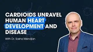 Cardioids Unravel Human Heart Development and Disease
