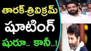 Jr NTR Trivikram Movie Shooting | Ntr Trivikram Movie | NTR28 | Movie Shooting Date | Media Poster