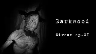 Darkwood - Cosmoturtle stream ep.01