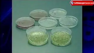Just How Common Are Germs In Everyday Places?