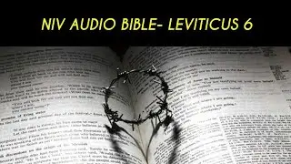 LEVITICUS 6 NIV AUDIO BIBLE (with text)