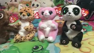 I got a new beanie boo and two new beanie bellies + a brand new Ying!