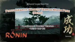 Rise of the Ronin: Photography: Keneiji Temple Moon Pine / Landmark: Kaneiji Temple / Ueno Cat #2