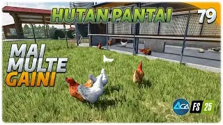 Mai multe gaini,mai multe oua, mai multe oua, mai multa supa de taitei-FS25 Gameplay Hutan Pantai 79