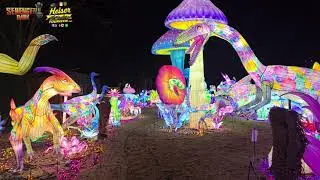 🎆 Magisches Lichterfestival im Serengeti Park Hodenhagen ✨