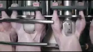 full automatic poultry processing equipment