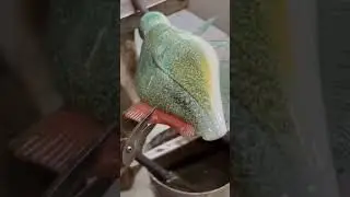 #glassblowing #coolvideo #artistsonyoutube #glassblower #art #permit #fish #sculpture