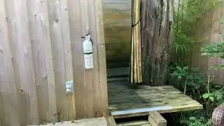 Welcome to the Forest Sweet Retreat!