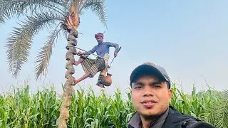 01750264330 Whatsapp number খাঁটি খেজুরের গুড় দিচ্ছি; এখন সরাসরি হাড়ি গাছে লাগানো হচ্ছে।