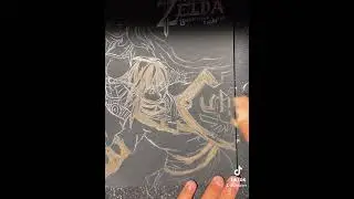 Let&rsquo;s Draw Breath if the Wild Link and Zelda!!#botw #zelda #link #drawing #fypシ #fypageシ