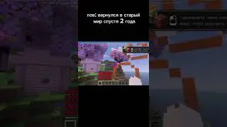 Даже спустя 2 года ничего не поменялось... #minecraft #shorts #meme #2023 #2025