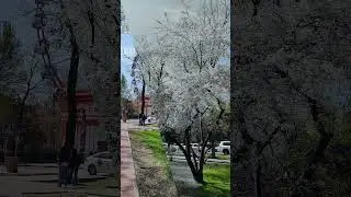 Spring is here.