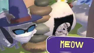 Eye patch Pirate Cute Meow