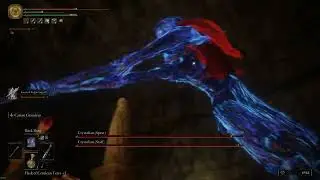 Elden Ring - Crystalian Duo Boss Fight - Mage Build