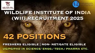 WII Recruitment 2025 | 42 Positions | Freshers Eligible | Non - Net/Gate Eligible | UG/PG/PhD