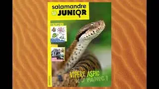 La Salamandre Junior N&deg;124 Vip&egrave;re aspic, No panic !
