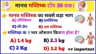 How to Upgrade Your Brain (Scientific Proof) । मानव मस्तिस्क। About human brain।
