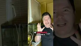 Кипяток прям в аквариум ☝🏼‼️