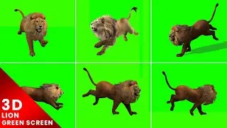 3D Lion Running Green Screen For Editing For Free