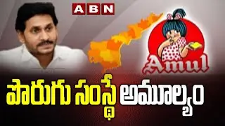 AP Govt Sensational Decision on AP Dairy | Amul Dairy Vs AP Dairy Farms || ABN Telugu