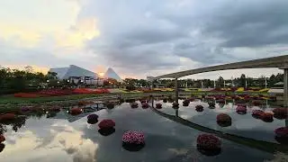 Sunset over the EPCOT flower and garden festival #disney #epcot #flowers