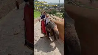 Amber Fort elephant ride timings are from&nbsp;7:30 am to 12:30 pm&nbsp;and price will be Rs 2,500 per ride