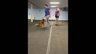 Stand for Exam: The Approach! | Ginny