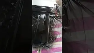 Method of applying lacquer on black color #automobile #detailwork #carrepair #automotiveexterior 👍