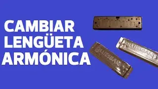 COMO CAMBIAR UNA LENGUETA ROTA DE UNA ARMONICA