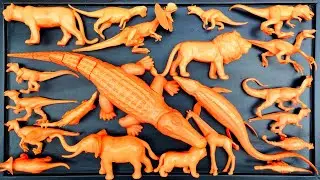 🔴Clean Up Muddy dinosaur Animals❗Tyranosaurus, Giganotosaurus, Mozasaurus, Stegosaurus, Triceratops