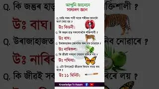 Assamese gk #assamcurrentaffairs #assamgk #gkassamese #assamtezpur #gkquiz #gk #trivia