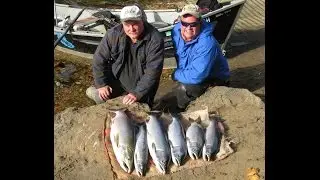 Coho Kalama 10/13/2014 (Silvers)