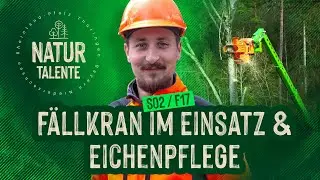 Moderne Technik trifft Waldpflege: Fällkran & Eichenpflege | #NATURTALENTE Folge 17 I Staffel 2