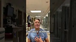Why Do We Pass Gas? | Dr. Bob Ganz Explains
