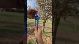 Creative knot ideas