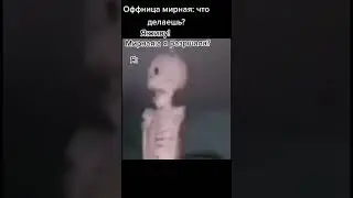 Мемы по ТикТоку #746