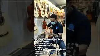 Cort ACOUSTIC GUITAR GA MEDX OP